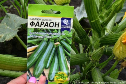 �������������� ����� ��������: ��� ��� �������� ��� ������ ������