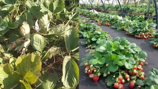 ����� ��������� ����������� ��������: ��� ������ ������� ������ ������� ����