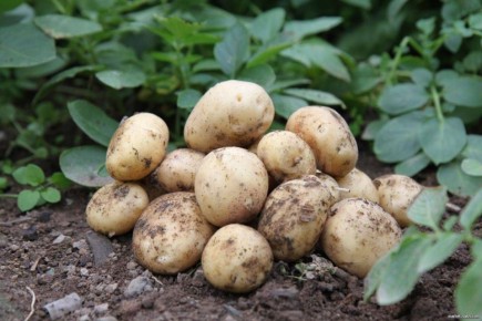 � ��������� ����� ��������� � ����: �����, ������� �� ������ ���������