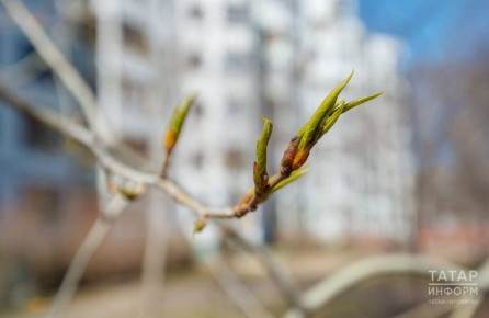 Погода в Татарстане 12 апреля: облачно, местами дождь и до +14 °C