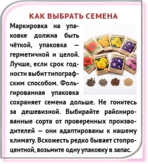 Секреты балконного оазиса с нуля