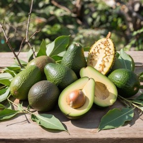 Авокадо: как выбрать самый полезный сорт и избежать подводных камней