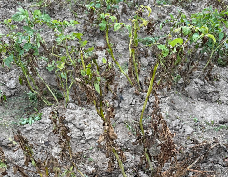 ���������! ��� ������������ ���� �������� ����� �������� ������ ������