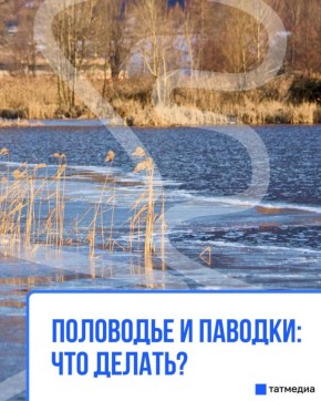 � ���������� ������������ ���������