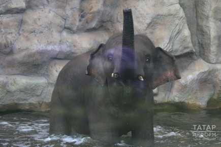 Доброе утро, Казань! Сегодня 16 апреля