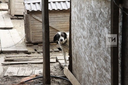 � ������ �� �������� ������ �������� ���������� ����� � ����� �� ���������