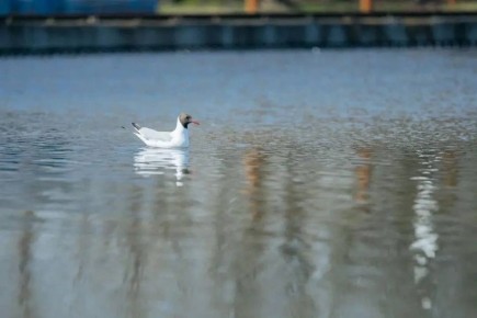 �� ��� �������������������� ��������� ���������� ���������� ������ �������