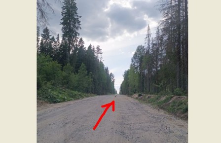 ����������� ������� � ����� �� �������: �������� ������� �� ����� ����� �������