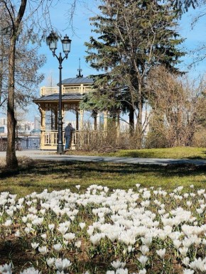 � ��������� ���� ����� ������������ ������ �������