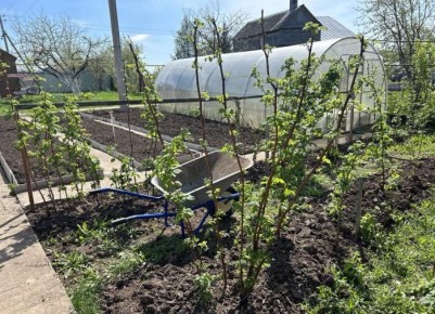 �� ������� �������� ������ �������� ��� ����� ������: ��� ��� ������ �� �����