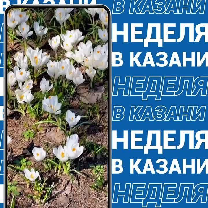 На этой #неделявказани была замечена середина весны, а что еще интересного произошло — рассказываем ниже
