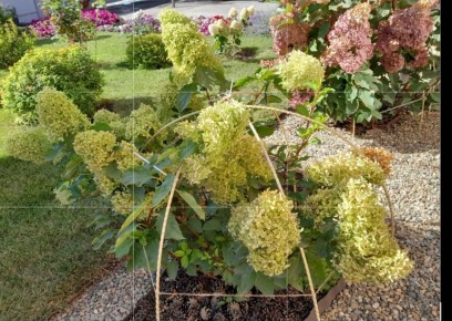 ��� ������ �������� ������ � �������: ������ � �������