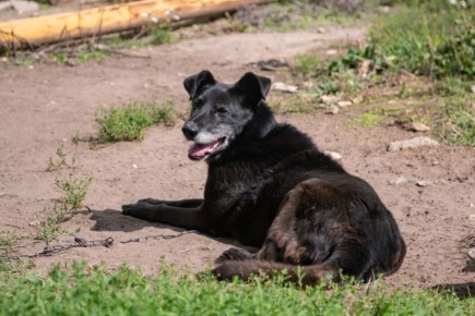 ���������� ������� ��������� ��� ��������� �������� � �� ��������� ����������� � ���������� ���������