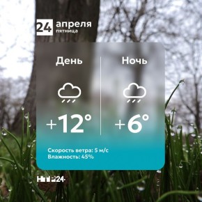 ���� �������� ���