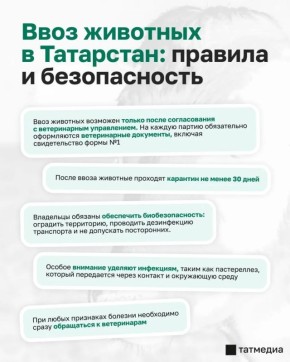 ������ �� ������ ������������ ���� ����� �� �������� �� ��������� ����� � ����������