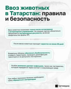 ������ �� ������ ������������ ���� ����� �� �������� �� ��������� ����� � ����������