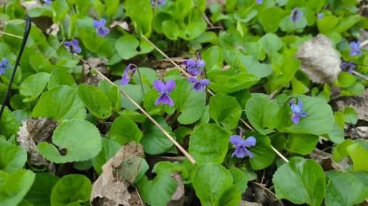 ������ ����, ����������!. ��������� ����������, ��� ����������� ������ ����� ����� ���� ������