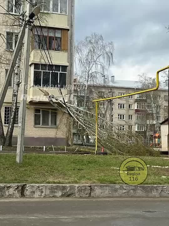 Шквалистый ветер в Казани повалил деревья и оборвал линии передач
