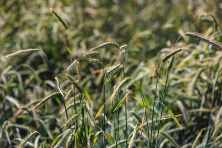 � ��� ������������ � ����� ������ ������ � 9 ������� ����������