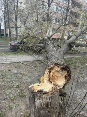 ����� �� �������: � ������ ��������� ����� ����� ������ ������� �� ������