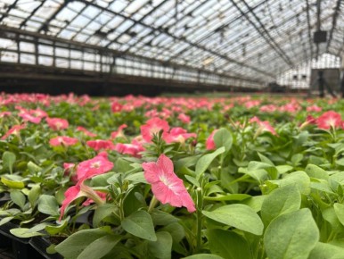 � ��������� ����� ���������� ������� ����� 160 ����� ������ ����� 16 �����