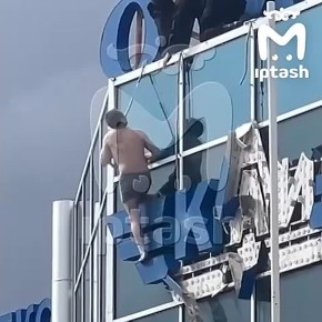 ������ ������� ������ �������� � ������� �������� "�����"