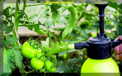 ��� ���������� ������������� �����: ������� �������� ���������