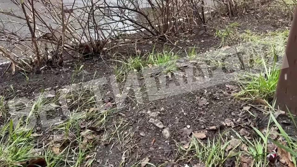 � ������ ����� ����