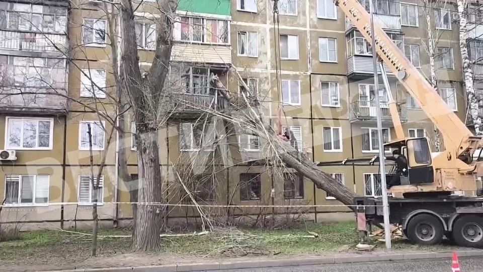 На улице Академика Королева 22 устраняют последствия падения дерева на балкон жилого дома