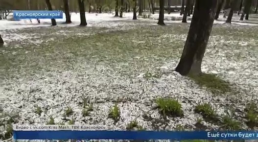 ������ ������ ������ ����� ��������� ���������� ��������