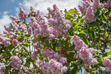 � ������ ������ ������� ������� ������� � ������� ������� ������ � �������� �� ��������� ������