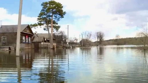 ���� ���� ������: ��� �������� ����������� ���������� �����