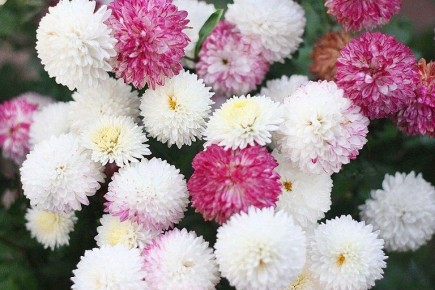 ���������� ��� ������ ����: ��� ������� ��������� ���� �� ����� �����