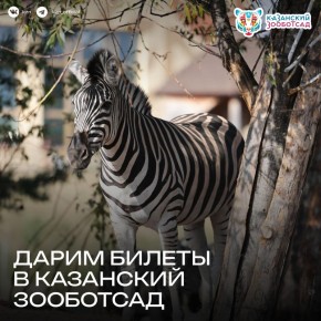 ��� �� ������ � ��������� �� �������� ����������, � �� ��� ��� ��� ���