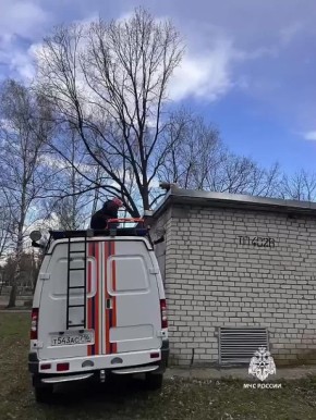 � ������ ��������� ����� 10-������� �������� � ����� ���������������� �����
