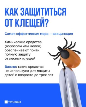 ������� ������ ������� ������ �� ������