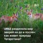 � ���������� ������� ����� ������� ������� �����