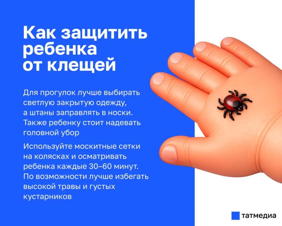 Как защитить маленьких детей от клещей: советы врача