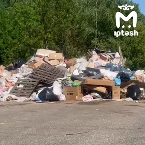 Казань и её окрестности тонут в мусоре, который плавится на 30-градусной жаре Казань и её окрестности тонут в мусоре, который плавится на 30-градусной жаре