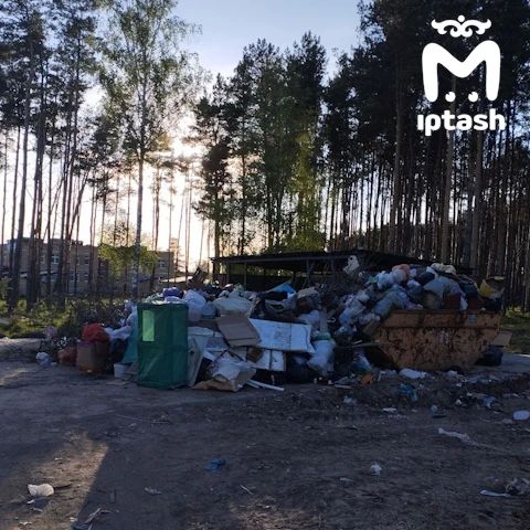 Казань и её окрестности тонут в мусоре, который плавится на 30-градусной жаре Казань и её окрестности тонут в мусоре, который плавится на 30-градусной жаре