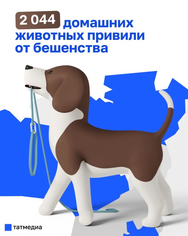 В Казани за весенний сезон привили от бешенства 2 044 домашних животных
