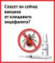 Спасет ли сейчас вакцина от клещевого энцефалита?