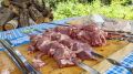 Опасный шашлык: как покупка готового мяса может привести к заболеваниям