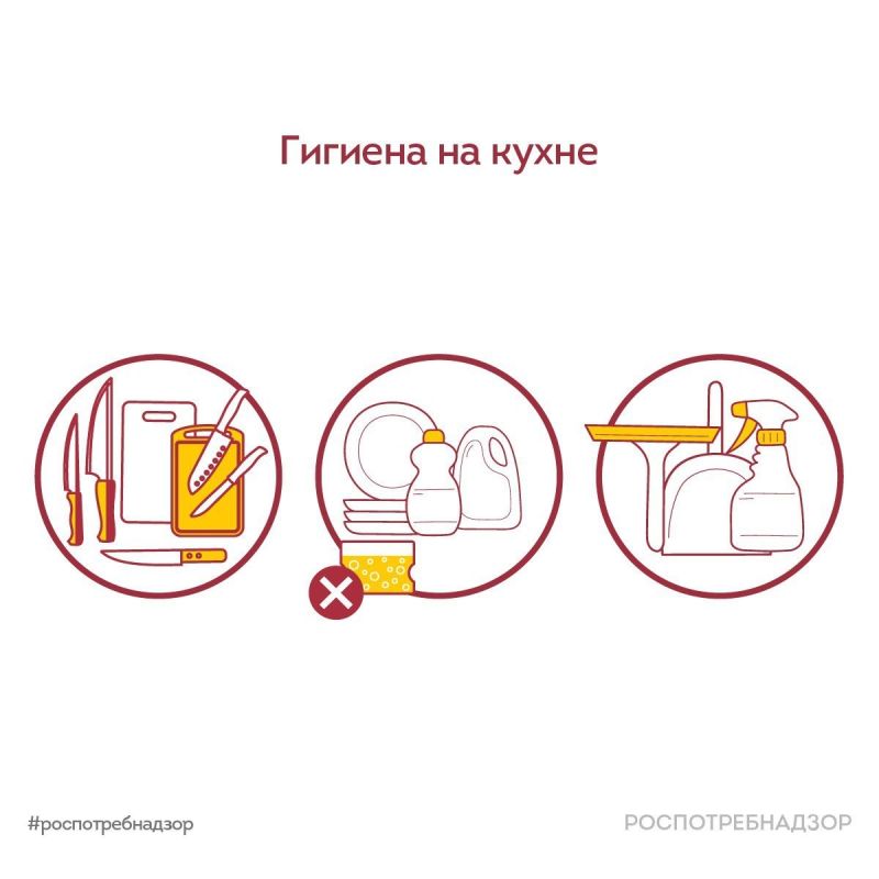 Чистота на кухне: ключ к вашему здоровью и безопасности