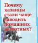 Почему казанцы стали чаще заводить домашних животных?
