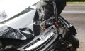 Во вторник утром недалеко от Нижнекамска произошло дорожно-транспортное происшествие с участием животного
