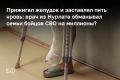 Татарстане под суд пошла группа предполагаемых аферистов, которые предлагали освобождение от армии или СВО с помощью «фиктивной язвы»