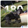 � ������ ���� ������ ������� �������� 180 ������������ � ��