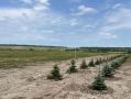 Группа компаний ASG безвозмездно передаст еще 10 тыс