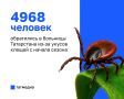 В Татарстане почти 5 тысяч человек пострадали от укусов клещей